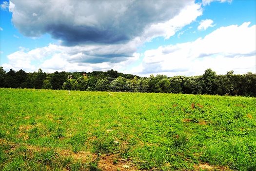 Działka budowlana na sprzedaż Włosań 1 200m2 Foto 5