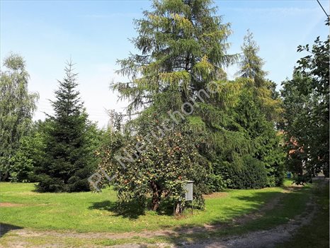 Działka budowlana na sprzedaż Brwinów 2 308m2 Foto 2