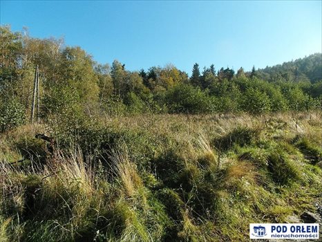 Działka budowlana na sprzedaż Bielsko-Biała, Kamienica 5 000m2 Foto 3