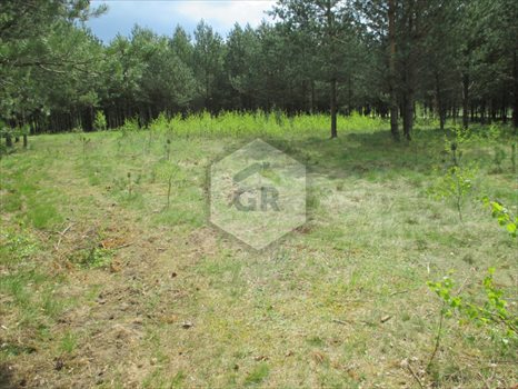 Działka przemysłowo-handlowa na sprzedaż Kłobuczyno 1 206m2 Foto 2