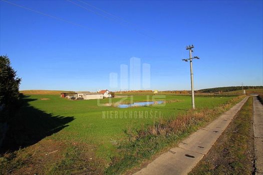 Działka inna na sprzedaż Janowo, Pelplińska 3 000m2 Foto 5