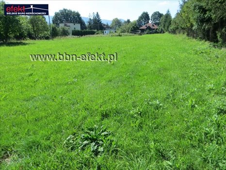 Działka budowlana na sprzedaż Jasienica 5 804m2 Foto 3