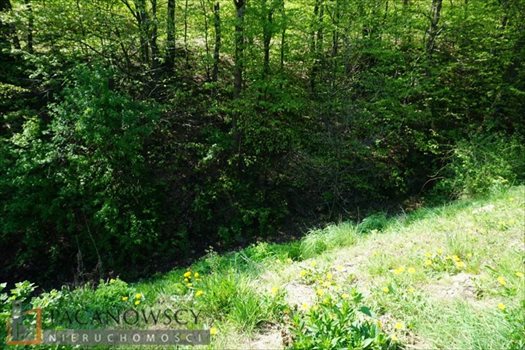 Działka inna na sprzedaż Balice 1 086m2 Foto 4