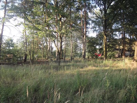 Działka budowlana na sprzedaż Kanie, Kanie 2 388m2 Foto 3