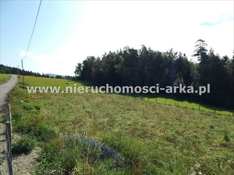 Działka budowlana na sprzedaż Mszana Dolna 7 500m2 Foto 4
