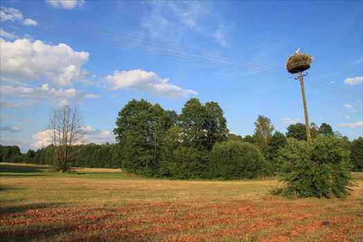 Działka rekreacyjna na sprzedaż Łąkie 1 500m2 Foto 3