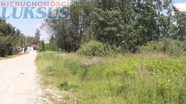 Działka budowlana na sprzedaż Góra Kalwaria, Kąty 1 000m2 Foto 3