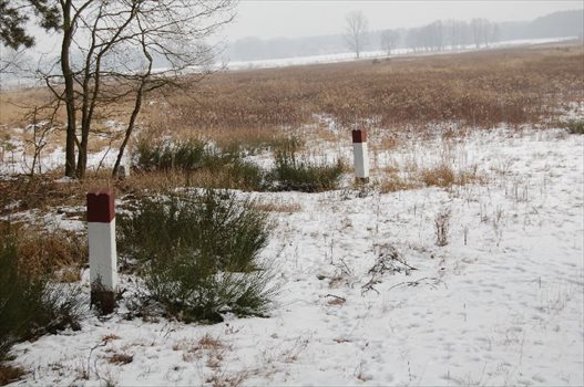 Działka rolna na sprzedaż Hetmanów 341 800m2 Foto 4