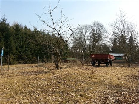Dom na sprzedaż Wałcz, Aleja Zdob. Wału Pom. 60m2 Foto 4
