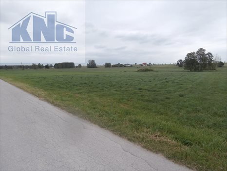 Działka inwestycyjna na sprzedaż Korytnica 14 524m2 Foto 5