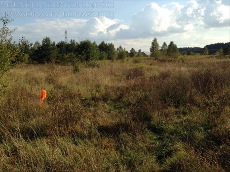 Działka budowlana na sprzedaż Radzymin, Nowa 1 031m2 Foto 2