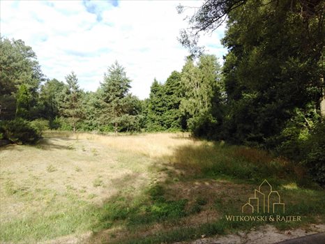 Działka siedliskowa na sprzedaż Gęsianka 4 300m2 Foto 7