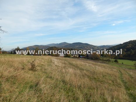 Działka inna na sprzedaż Limanowa 2 000m2 Foto 4
