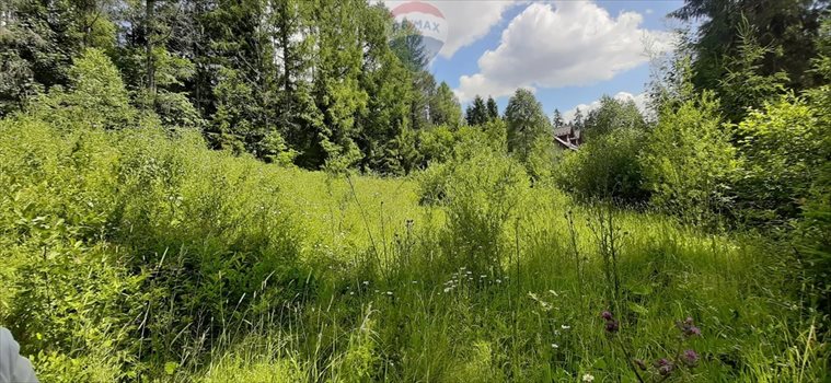 Działka budowlana na sprzedaż Nowy Targ 1 000m2 Foto 3