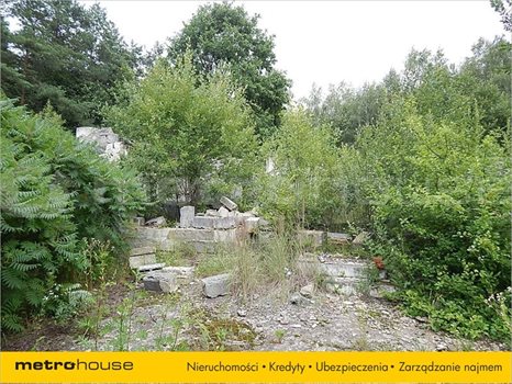 Działka inna na sprzedaż Janów, Chełm 41 200m2 Foto 5