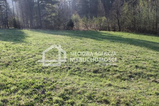Działka budowlana na sprzedaż Lubowidz 1 760m2 Foto 10