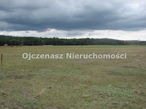 Działka rolna na sprzedaż Brzoza 3 013m2 Foto 3