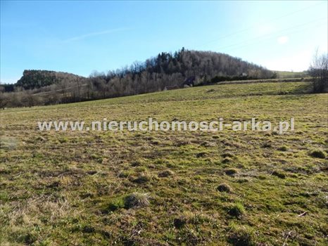 Działka budowlana na sprzedaż Kasina Wielka 1 500m2 Foto 2
