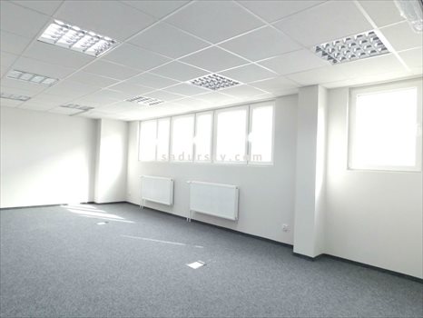 Lokal użytkowy na wynajem Piaseczno 590m2 Foto 11