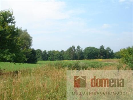 Działka budowlana na sprzedaż Bledzew, Elektrownia 1 000m2 Foto 7