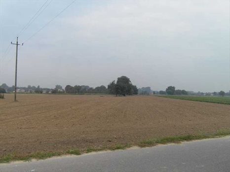 Działka rolna na sprzedaż Konstancin-Jeziorna, Jeziorna Oborska, Wiechy 3 111m2 Foto 5