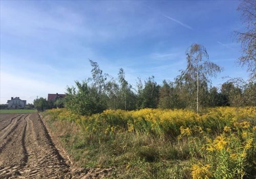 Działka budowlana na sprzedaż Paczkowo, Budowlana 830m2 Foto 5