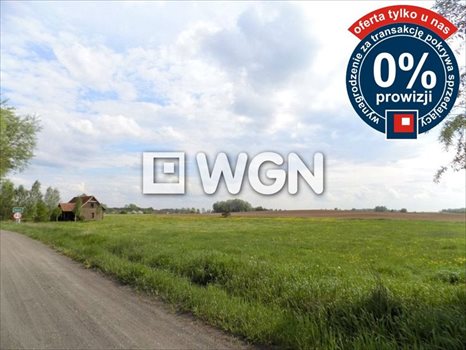 Działka inna na sprzedaż Krzywe 3 000m2 Foto 8