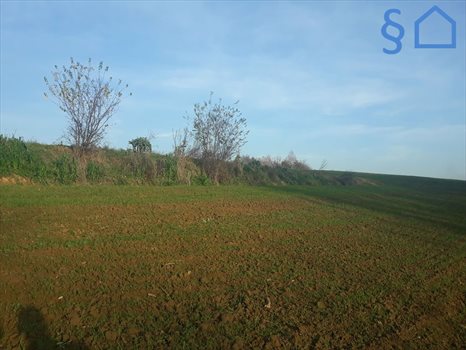 Działka budowlana na sprzedaż Sułkowice 900m2 Foto 4