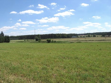 Działka rolna na sprzedaż Warkały 16 606m2 Foto 2