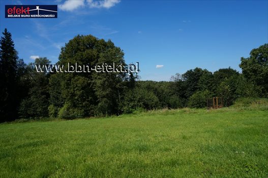 Działka budowlana na sprzedaż Świętoszówka 4 707m2 Foto 10