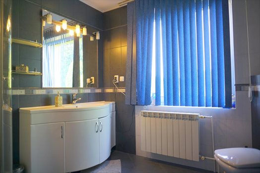 Lokal użytkowy na sprzedaż Osowiec 304m2 Foto 10