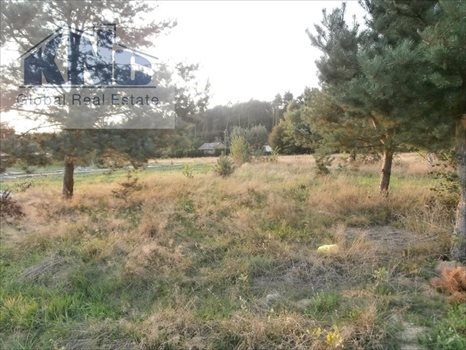 Działka budowlana na sprzedaż Sulejów 859m2 Foto 5