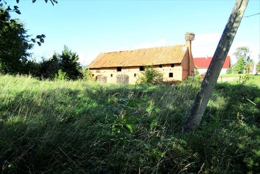 Działka siedliskowa na sprzedaż Krokocie 3 591m2 Foto 9