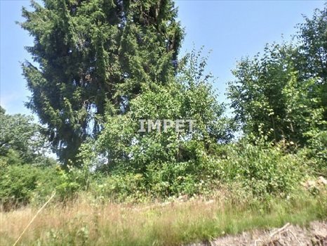 Działka inna na sprzedaż Koźlice 10 081m2 Foto 5