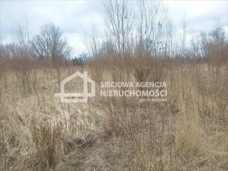 Działka przemysłowo-handlowa na sprzedaż Kębłowo 5 241m2 Foto 3