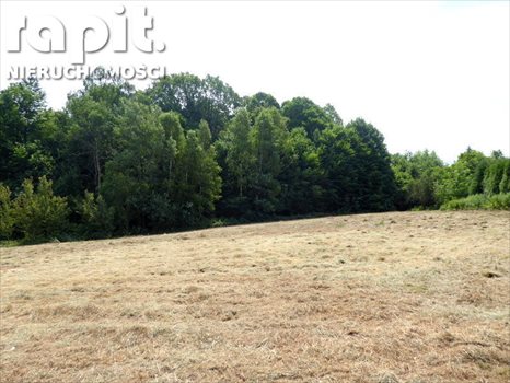 Działka budowlana na sprzedaż Krzyszkowice 1 275m2 Foto 10