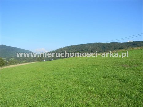 Działka budowlana na sprzedaż Dobra 2 500m2 Foto 2