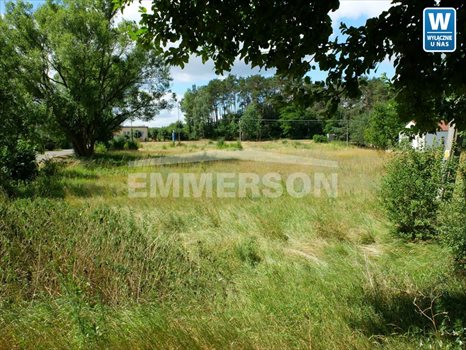Działka budowlana na sprzedaż Łąck, Zdwórz 3 742m2 Foto 3