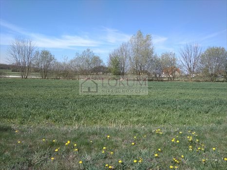 Działka budowlana na sprzedaż Majdan Krasieniński 1 800m2 Foto 3