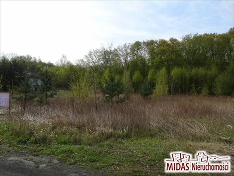 Działka rolna na sprzedaż Aleksandrów Kujawski 955m2 Foto 3