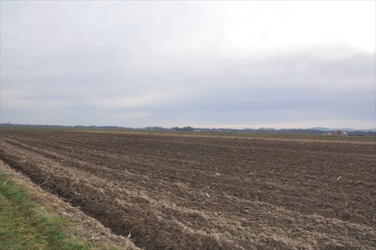 Działka budowlana na sprzedaż Rogów Sobócki, Słoneczna 1 299m2 Foto 8