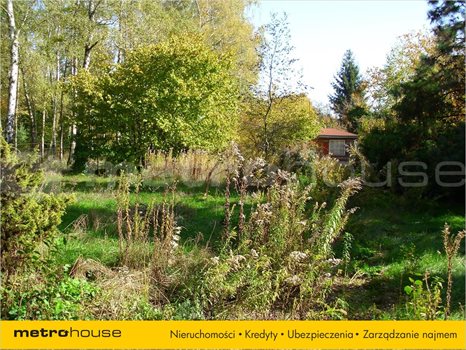 Działka rolna na sprzedaż Łódź, Bałuty 6 058m2 Foto 2