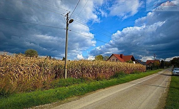 Działka budowlana na sprzedaż Ostrów 2 700m2 Foto 1