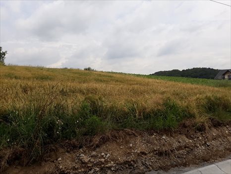 Działka budowlana na sprzedaż Będkowice 3 727m2 Foto 1
