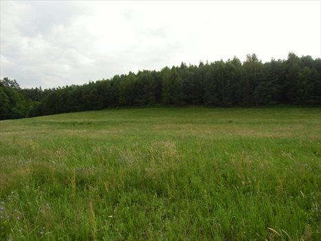 Dom na sprzedaż Krępkowice 140m2 Foto 10