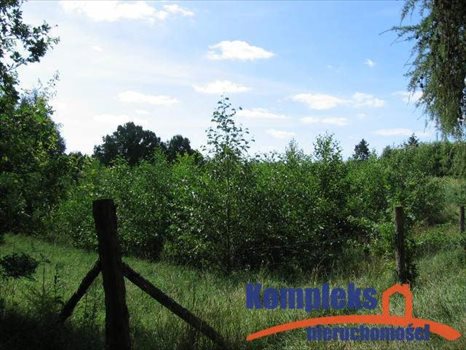 Dom na sprzedaż Zbrojewo 120m2 Foto 4