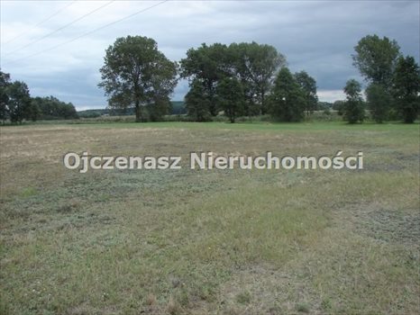 Działka rolna na sprzedaż Brzoza 3 013m2 Foto 2