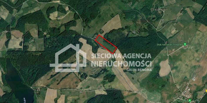 Działka rolna na sprzedaż Trzepowo 40 200m2 Foto 3