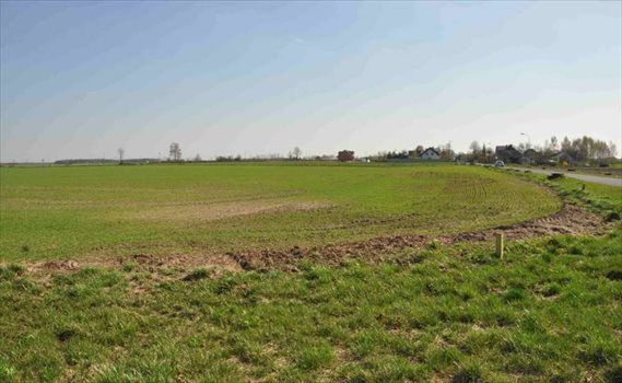 Działka komercyjna na sprzedaż Pierzyska 21 886m2 Foto 5