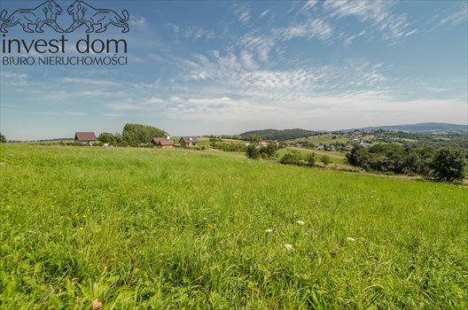 Działka budowlana na sprzedaż Bystra 6 000m2 Foto 8